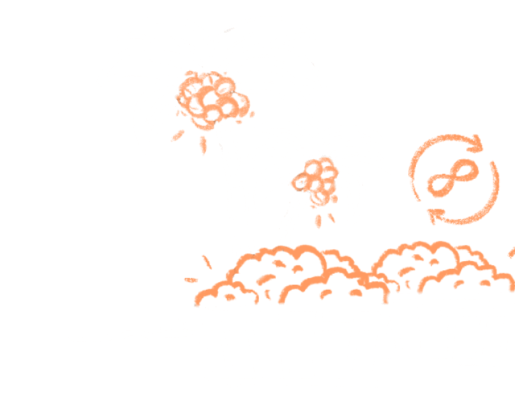 Plan your palm tree